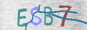 CAPTCHA-Bild
